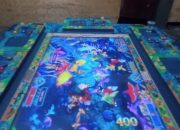 Kapolda Kepri Bungkam Soal Judi Berkedok Game Elektronik Saling Bersaing Menjangkit Penyakit Sosial di Jengkolan