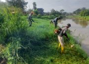 Sektor 5 Citarum Harum Sub 3 Bersihkan Rumput Liar di Bantaran sungai 