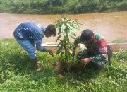 Di Bantaran Sungai, Sektor 5 Citarum Harum Sub 4 Perawatan Pohon Agar Tumbuh Sesuai Harapan