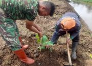 Dansub 3 Peltu Wahyu Kerahkan Anggota dan Masyarakat Penanaman dan Perawatan Pohon 