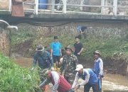 Sektor 22 Citarum Harum Sub 6 Evakuasi Kirmir Roboh di Sungai Cikiley