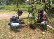 Sektor 5 Citarum Harum Sub 4 bersama Masyarakat Pemeliharaan Pohon di Bantaran Sungai