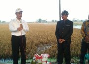 Menteri Pertanian RI Meninjau Langsung Sawah Yang Terkena Banjir di Kabupaten Kendal