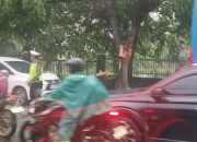 Unit Lalulintas Polsek Ciputat Timur Bantu Penanganan Pohon Tumbang dan Pengaturan Lalu Lintas di Jl. R. E. Martadinata
