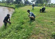 Sektor 5 Citarum Harum Sun 4 Bersihkan Tanaman Liar di Bantaran Sungai Citarum
