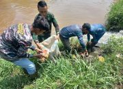 Sektor 5 Citarum Harum Sub 4 Bersihkan Sampah di Bantaran Sungai