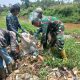 Sektor 5 Citarum Harum Sub 4 Bersihkan Sampah Liar di Bantaran Sungai Citarum