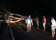 Kabid Humas Polda Jabar : Pohon Tumbang Tutup Akses Jalan Raya, Polisi Respon Cepat Evakuasi