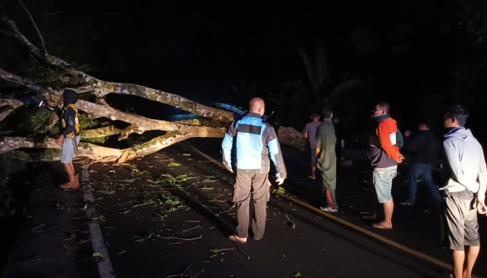 Kabid Humas Polda Jabar : Pohon Tumbang Tutup Akses Jalan Raya, Polisi Respon Cepat Evakuasi