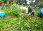 Sektor 22 Citarum Harum Sub 6 Bersihkan Tanaman Liar di Bantaran Sungai Cikapundung