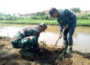 Pasca Libur Lebaran, Sektor 5 Citarum Harum Sub 2 Tanam Pohon di Bantaran Sungai