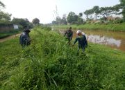 Semangat ! Sektor 5 Citarum Harum Sub 2 Bersihkan Rumput Liar di Bantaran Sungai Citarum
