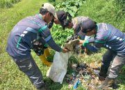 Sektor 5 Citarum Harum Sub 4 Pembersihan Dan Pengangkatan Material Sampah Di Bantaran Sungai Citarum