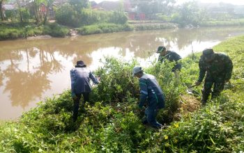 Sektor 5 Citarum Harum Sub 2 Bersihkan Gelaga di Bantaran Sungai