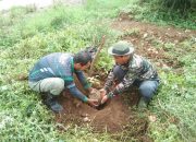 Dukung Go Green, Sektor 5 Citarum Harum Sub 1 Tanam Pohon di Daerah Bantaran Sungai