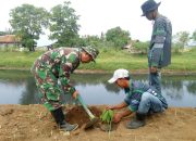 Cegah Kerusakan Lingkungan, Sektor 5 Citarum Harum Sub 2 Tanam Pohon di Bantaran Sungai
