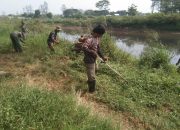 Karya Bakti Sektor 5 Citarum Harum Sub 1 Bersihkan Tanaman Liar di Bantaran Sungai