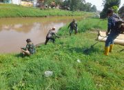 Sektor 5 Citarum Harum Sub 3 bersama Gober Bersihkan Rumput Liar di Bantaran Sungai 