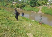 Sektor 5 Citarum Harum Sub 3 Fokus Pembersihan Rumput Liar di Bantaran Sungai