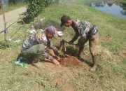 Sektor 5 Citarum Harum Sub 1 Kembali Tanam Pohon di Bantaran Sungai