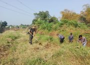 Satgas Sektor 5 Sub 4 Pembabatan Rumput di Bantaran Sungai Citarum