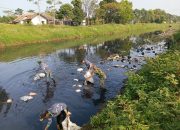 Satgas Citarum Harum Sektor 5 Sub 2 Kompak Lakukan Pembersihan Sampah di Bantaran Sungai