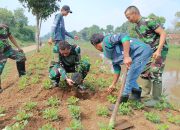 Cegah Erosi di Wilayah Bantaran Sungai, Dansektor 5 Kolonel Inf Rahman Sujana Tanam Pohon keras