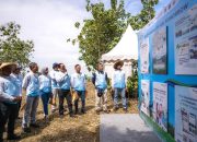 Komitmen Terhadap Keberlanjutan Lingkungan, Pelita Air Bersama Pertamina Tanam 10 Ribu Pohon di Jawa Timur