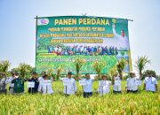 Percontohan Nasional, Pjs. Bupati Indramayu Panen Perdana Pertanian Organik Seluas 1.000 Hektare