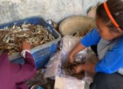 Dendeng Ikan Manis, Makanan Unik Khas Eretan Wetan Indramayu yang Menggugah Selera dan Penghasil Cuan