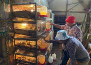 Inspiratif, BUMDes Sukaperna Hasilkan Cuan Setiap Hari Dari Usaha Burung Puyuh