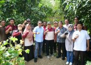 Hasilkan Cuan Berlipat Ganda, Budidaya Melon Makin Diminati Warga Indramayu