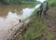 Sektor 5 Citarum Harum Sub 4 Angkat Ranting di Aliran Sungai Citarum