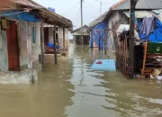 Hujan Deras, Puluhan Rumah Terendam Air Akibat Banjir Rob di Desa Eretan Kulon Indramayu