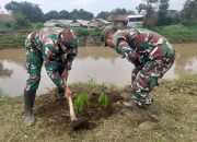Peduli Lingkungan dan Cegah Erosi, Satgas Citarum Harum Sektor 5 Sub 3 Tanam Pohon di Bantaran Sungai Citarum