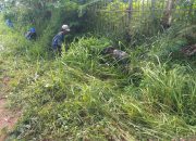 Satgas Citarum Sektor 5 Subsektor 4 Bersihkan Ilalang