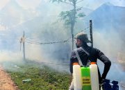 Warga Aisa Sambut Gembira Fogging Bersama Habema