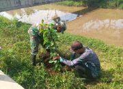 Dansub 2  : Menanam Dan Merawat Bibit Pohon Sepanjang Bantaran Citarum Harus Seimbang