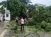 Bhabinkamtibmas Lengkong Gudang Timur dan Piket Lalu Lintas Evakuasi Pohon Tumbang di Jalan Suplir BSD