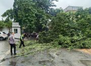 Bhabinkamtibmas Lengkong Gudang Timur dan Piket Lalu Lintas Evakuasi Pohon Tumbang di Jalan Suplir BSD