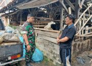 Patroli Rutin, Sektor 22 Citarum Harum Sub 8 Edukasi Para Peternak Sapi