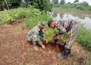 Sektor 5 Citarum Harun Sub 1 Wariskan Lingkungan Dan Alam Lestari Melalui Penanaman Pohon