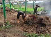 Sektor 22 Citarum Harum Sub 8 Pembalikan Pupuk Kompos 