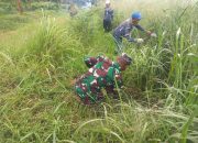Di Bawah Komando Serma Deni, Sektor 5 Citarum Harum Sub 4 Bersihkan Alang -Alang di Bantaran Sungai