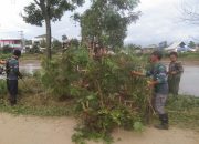 Sektor 5 Citarum Harum Sub 1 Bersihkan Tanaman Liar dan Ilalang di Bantaran Sungai