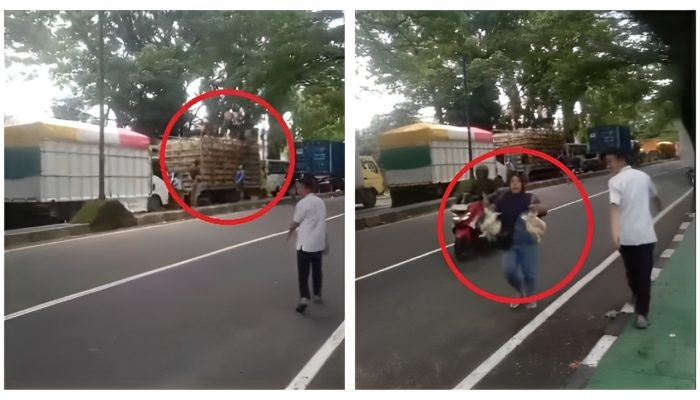 Viral Truk Ayam Potong Diserbu Warga Karena Tertahan Di Maros Sulsel