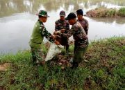 Satgas Citarum Harum Sektor 5 Sub 1 Bersihkan Bantaran Sungai di wilayah Sumbersari Kabupaten Bandung
