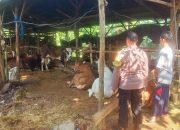 Dukung Ketahanan Pangan, Polisi Imbau Peternak Sapi di Jepara Perhatikan Kesehatan Hewan Kurban