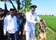 Lagi, Bupati Lucky Hakim Lepas Ular, Biawak dan Burhan