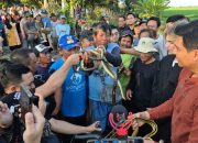 Targetkan 10 Ribu Ular, Strategi Indramayu Perangi Tikus Demi Panen Petani